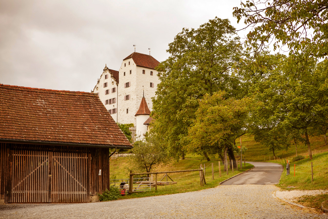 Hochzeit in Zürich