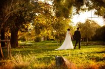Theofilos & Xrysa Wedding “The wedding video clip”