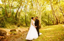 Stathis & Ioanna Wedding “The wedding video clip”