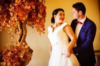 Stefanos & Despoina Wedding “The wedding video clip”